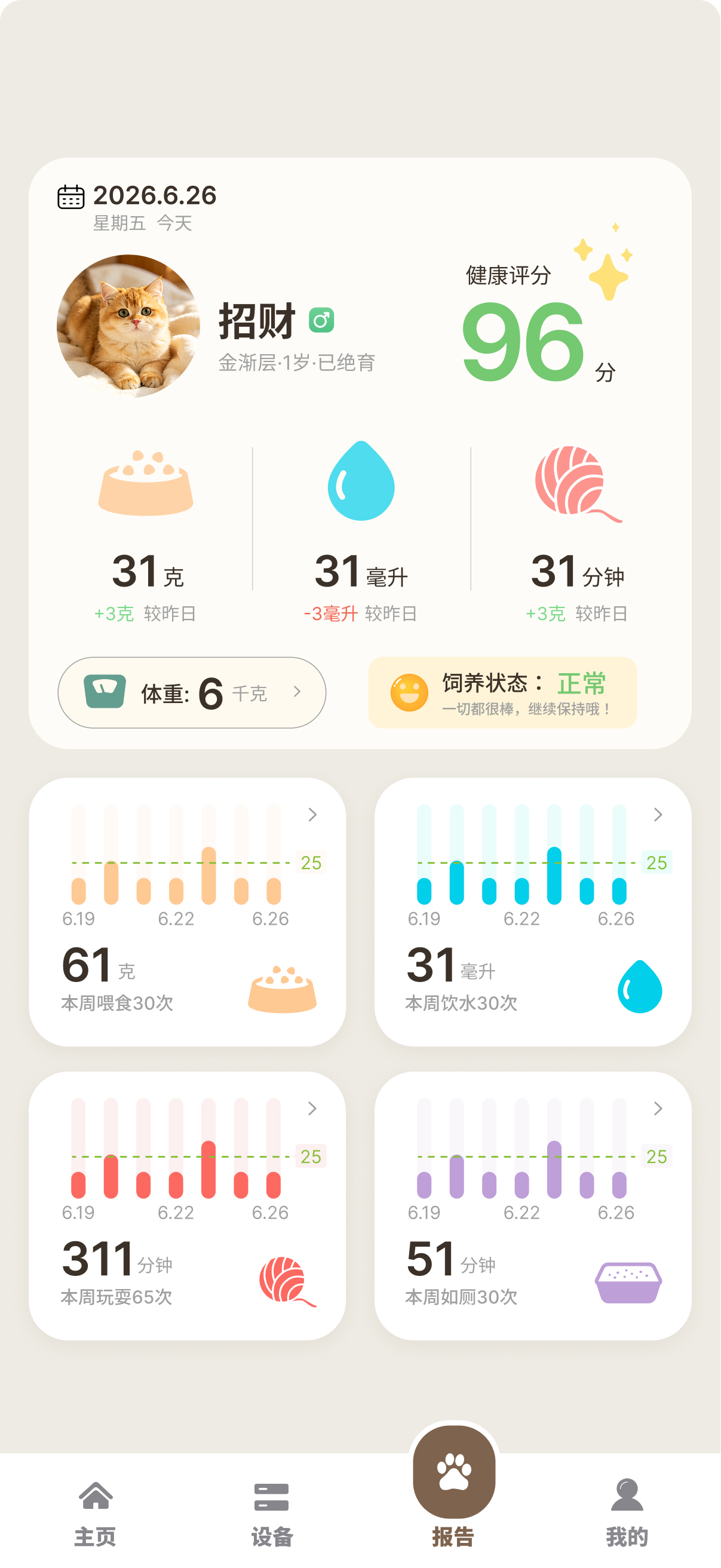 See & Care app reports with daily activity and health data